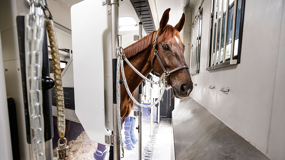 Adecuados para animales. Las plataformas del camión para caballos están adaptadas a las necesidades de los caballos. Así, los animales tienen siempre luz y aire, y no hay bordes afilados.