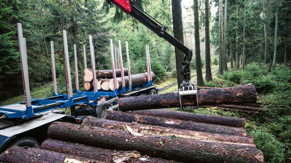 Bosarbeider: de nieuwe Arocs van houtbedrijf Dřevařské centrum s.r.o. legt ongeveer 6000 kilometer per maand af – het grootste deel daarvan op onverharde bospaden.
